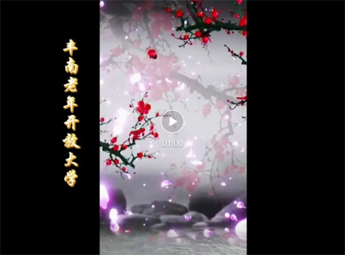 丰南老年开放大学优秀作品展示（七）绘画：赵美洲《国画四君子》
